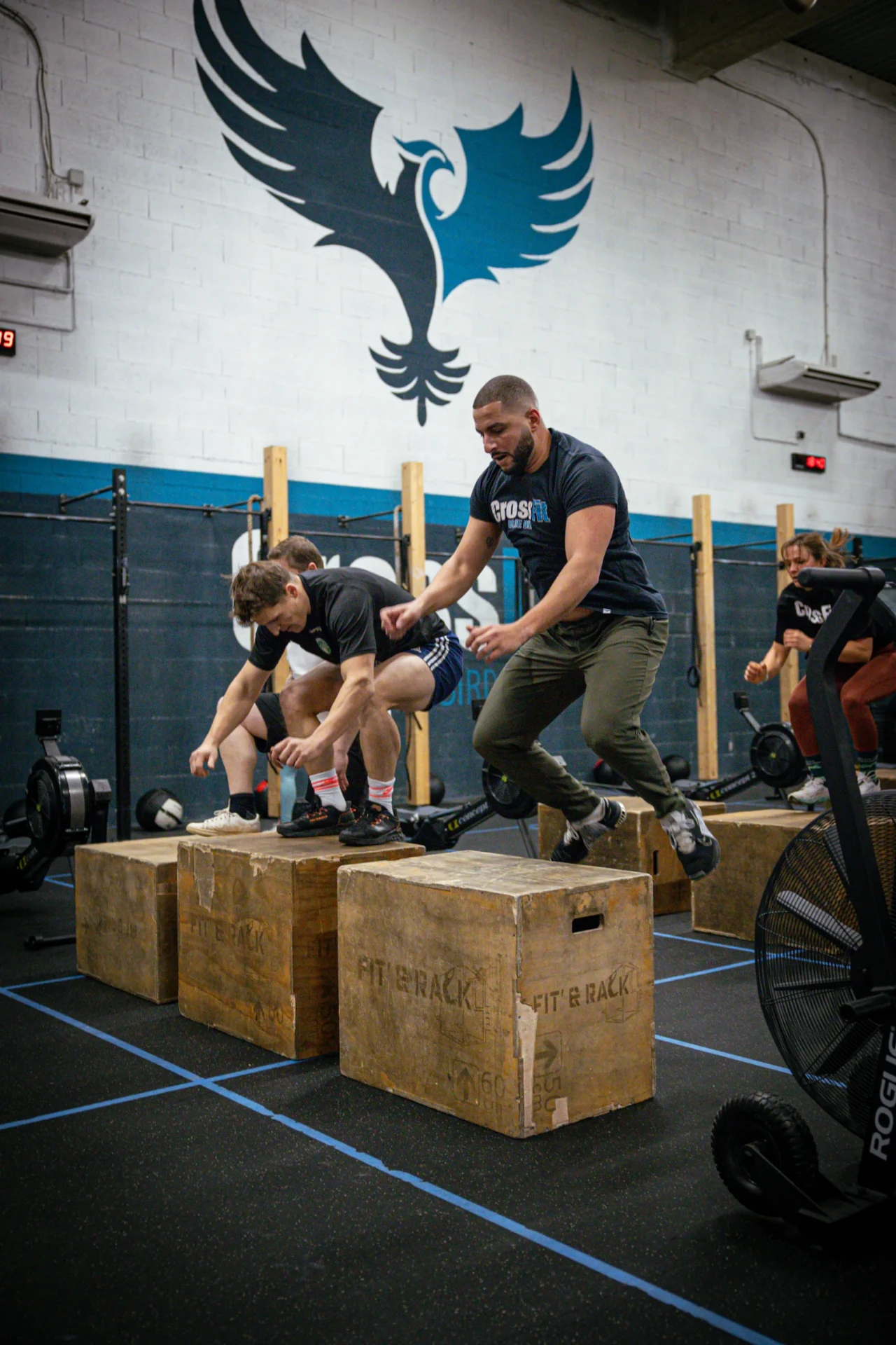 Box jumps sous le logo Blue Bird pendant un entraînement collectif